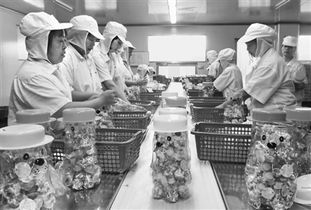 跨越海峡的甜蜜 厦门食品厂女工的日常与跨文化包装使命